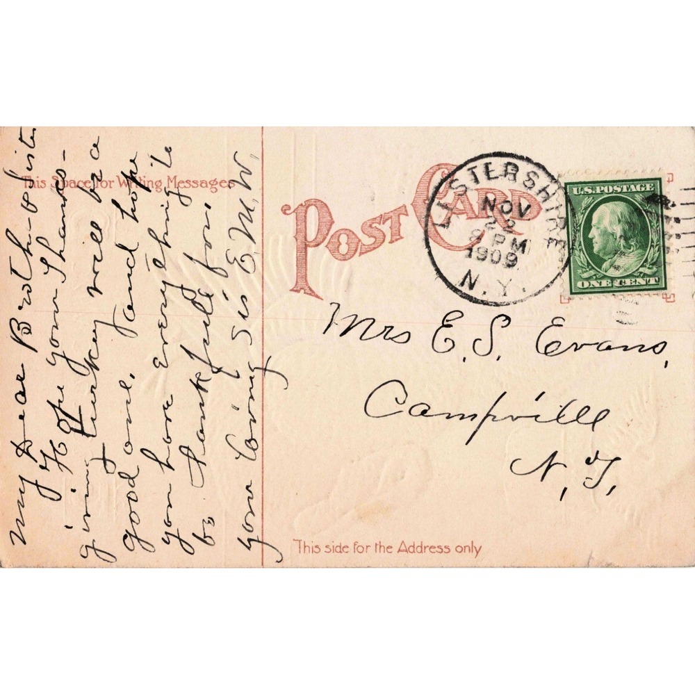 Vintage 1909 Thanksgiving Day Postcard Turkey American Eagle Shield Embossed VG - Picture 2 of 2